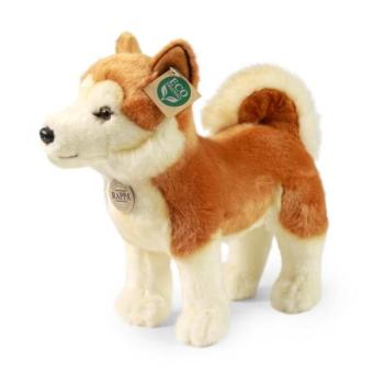 ECO-FRIENDLY 30 cm-es Akita Inu plüss kutya kép