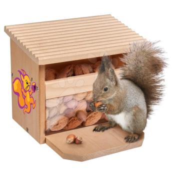 Fa mókus etető Outdoor Feeding Squirell House Eichhorn 'rakd össze és fesd ki' festékekkel 6 évtől kép