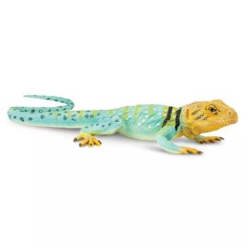 Figura - Galléros leguán kép