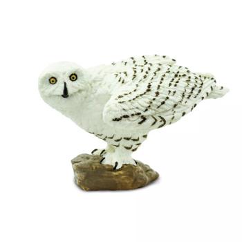 Figura - Hóbagoly kép