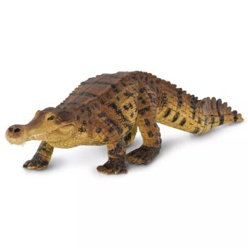 Figura - Sarcosuchus kép