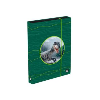 Füzetbox A4 Jumbo OXY Sherpy Green kép