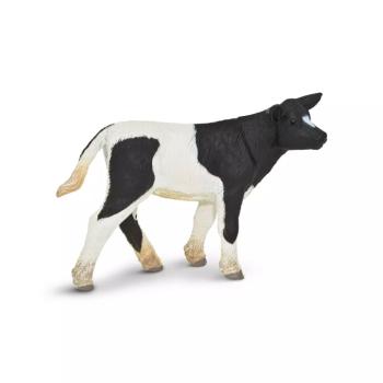 Holstein borjú kép