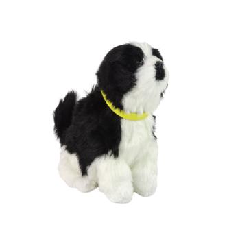 Interaktív border collie kutya kép