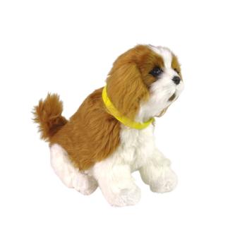 Interaktív kutya Cavalier King Charles spániel kép