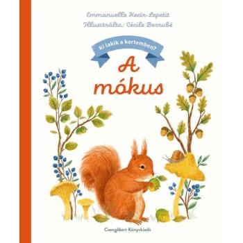 Ki lakik a kertemben? – A mókus kép