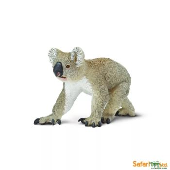 Koala kép