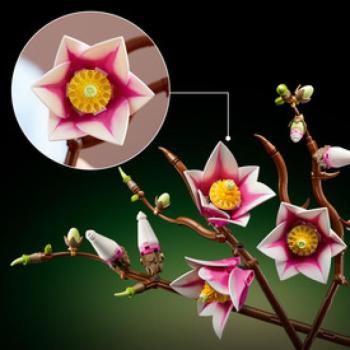 LEGO Botanicals 11510 színátmenets virág magnólia kép