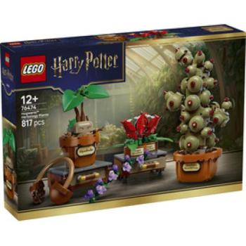 LEGO Harry Potter 76474 A Roxfort-i gyógynövénytanóra növényei kép