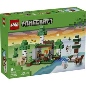 LEGO Minecraft 21593 Az első éjszaka kalandjai kép