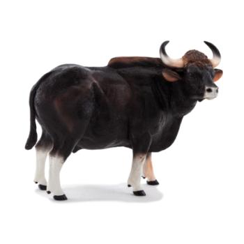 Mojo Gaur bika kép
