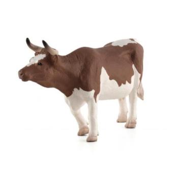 Mojo Simmental szarvasmarha kép