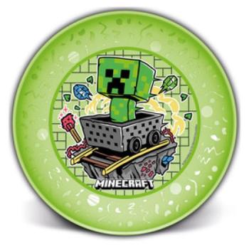 Műanyag Minecraft lapostányér kép