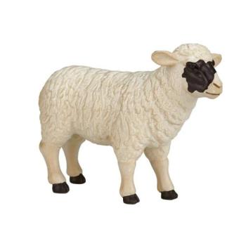 My Sheep Hampshire kép