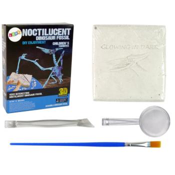 Pteranodon dinoszaurusz csontváz régészeti ásatás