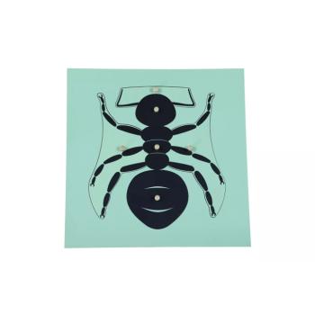 Puzzle - hangya kép