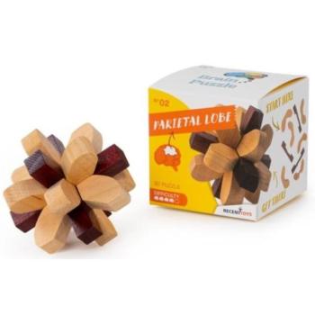 RECENTTOYS Brain Puzzle 1 - parietális lebeny kép