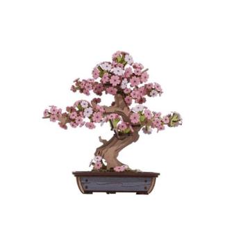 RoboTime 3D fa puzzle Bonsai sakura kép