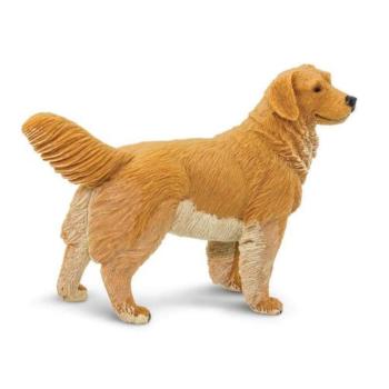 Safari® Arany retriever kép