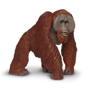 Safari® Borneói orangután kép