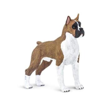 Safari® Boxer Kutya kép