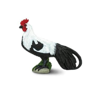 Safari® Főnix kakas kép