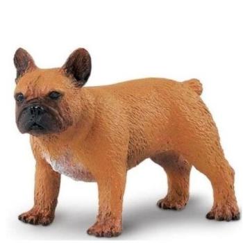 Safari® Francia bulldog szuka