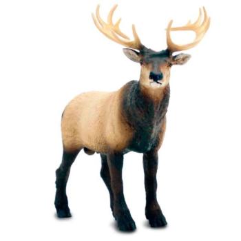 Safari® Jávorszarvas kép