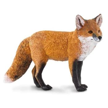 Safari® Közönséges róka kép