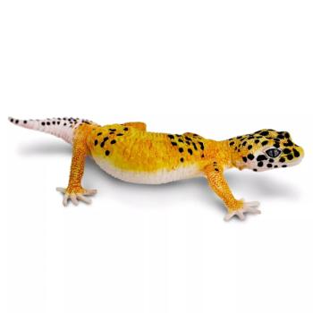 Safari Ltd. Figura - Éjjeli gekkó kép
