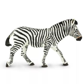 Safari Ltd. Figura - Zebra kép