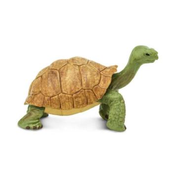 Safari® Óriásteknős kép
