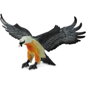Safari® Szakállas sárkány kép