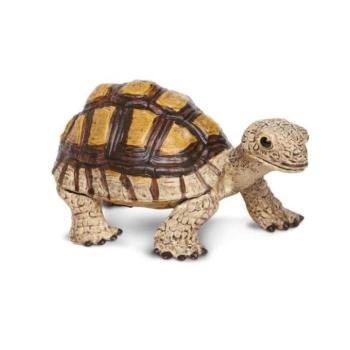 Safari® Szárazföldi teknős kép