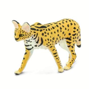 Safari® Szervál kép