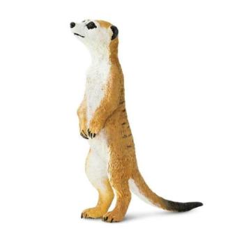 Safari® Szurikáta kép