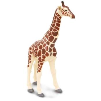 Safari® Zsiráf kép