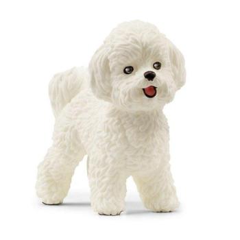 Schleich Bichon Frise kép