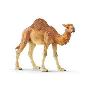 Schleich dromedár kép