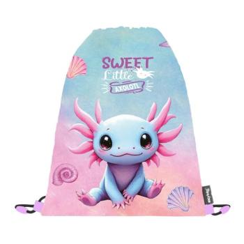 Tornazsákok Axolotl kép