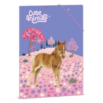 A /4 dosszié Cute Animals-Horse kép