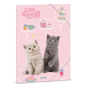 A /4 dosszié Cute animals-tea party kép