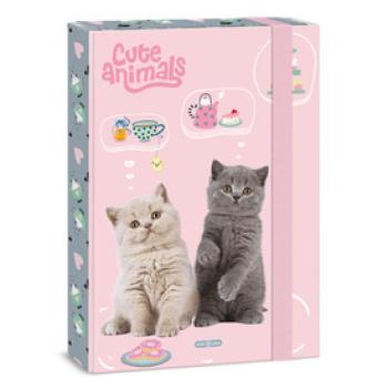 A /4 füzetbox Cute animals-tea party kép