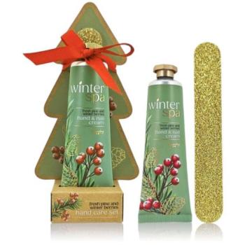 ACCENTRA Winter Spa kézápoló készlet körömreszelővel Téli gyümölcs 30ml kijelzőn csomagolva kép