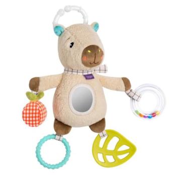 Aktivitás capybara kép