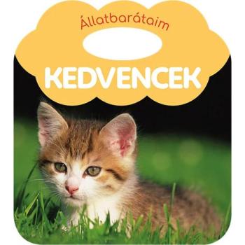 Állatbarátaim – Kedvencek kép