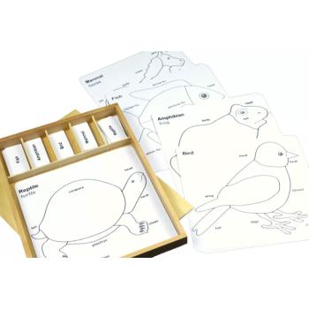 Állatkerti puzzle-készlet (ANG feliratokkal) kép