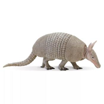 Armadilló kép