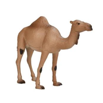 Az egypúpú tevém kép