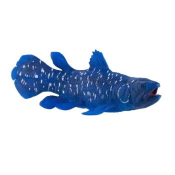 Az én Coelacanthom kép